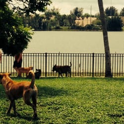 Dog park