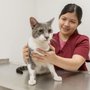 Photo of Ambassador Veterinary Hospital