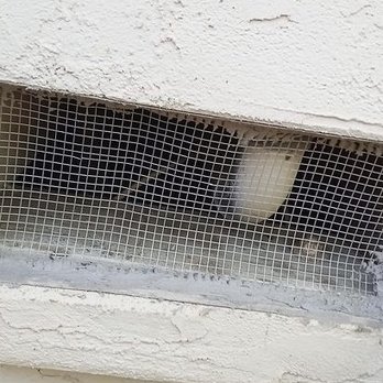 Secured Attic - Concrete caulking & steel mesh. - Pest Control Near Me Secured Attic - Concrete caulking & steel mesh. - Pest Control Near Me