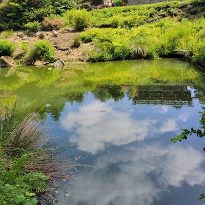 Kubota Garden by null