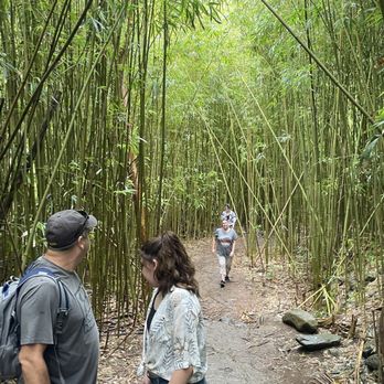 Shaka Tours Maui - Food Tours Near Me Shaka Tours Maui - Food Tours Near Me