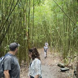 Shaka Tours Maui