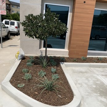 Arcadian Tree Service And Landscape - Drought tolerant plants and drip irrigation - Tree Services Near Me Arcadian Tree Service And Landscape - Drought tolerant plants and drip irrigation - Tree Services Near Me