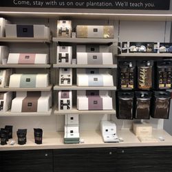 Hotel Chocolat