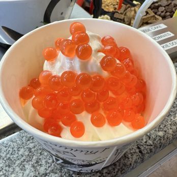 Penguin Yogurt Factory - Vanilla with boba! - Ice Cream & Frozen Yogurt Near Me - Santee, California Penguin Yogurt Factory - Vanilla with boba! - Ice Cream & Frozen Yogurt Near Me - Santee, California