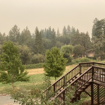 Abel's Apple Acres - Look past the Smokey air... it's gorgeous here!! - Bakeries Near Me - Placerville, California Abel's Apple Acres - Look past the Smokey air... it's gorgeous here!! - Bakeries Near Me - Placerville, California