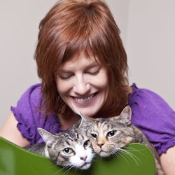 Super Cat Sitting - Lisa with Moby and Spider