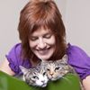 Super Cat Sitting gift card