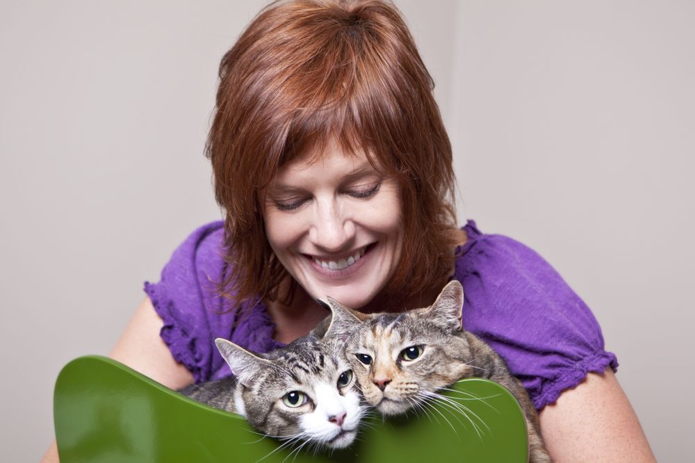 Super Cat Sitting - pet boarding facility in Atlanta, GA
