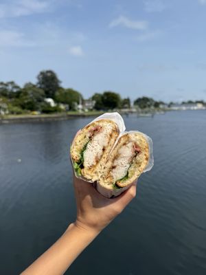 Shayna's Place by null