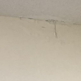 Pieces of Ceiling falling off Pieces of Ceiling falling off