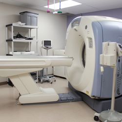 Red Bank Veterinary Hospital - Mt. Laurel - When a veterinarian wants a closer look at an animal's particular organ, muscle, bone, or other internal body part, they may order a CT.