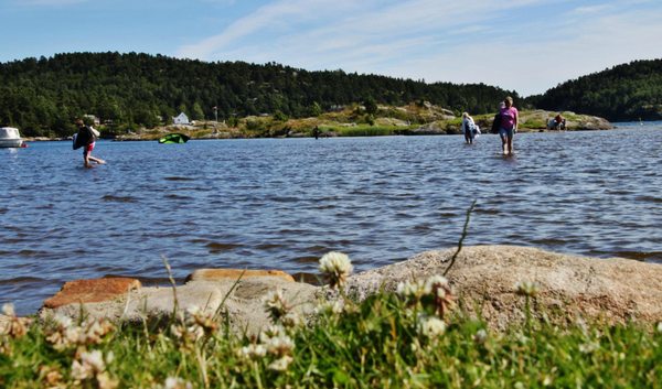 Tingsaker Familiecamping by null