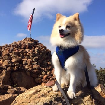 Rock House Trail - Oso made it to the top with no problem - Hiking Near Me - Chula Vista, California Rock House Trail - Oso made it to the top with no problem - Hiking Near Me - Chula Vista, California