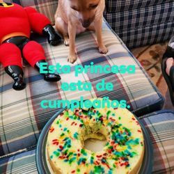 Guaterico Deli - Rico cake