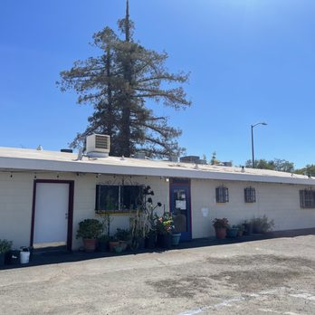 Noodle Palace - Look for the blue front door. - Cambodian Near Me - Santa Rosa, California Noodle Palace - Look for the blue front door. - Cambodian Near Me - Santa Rosa, California