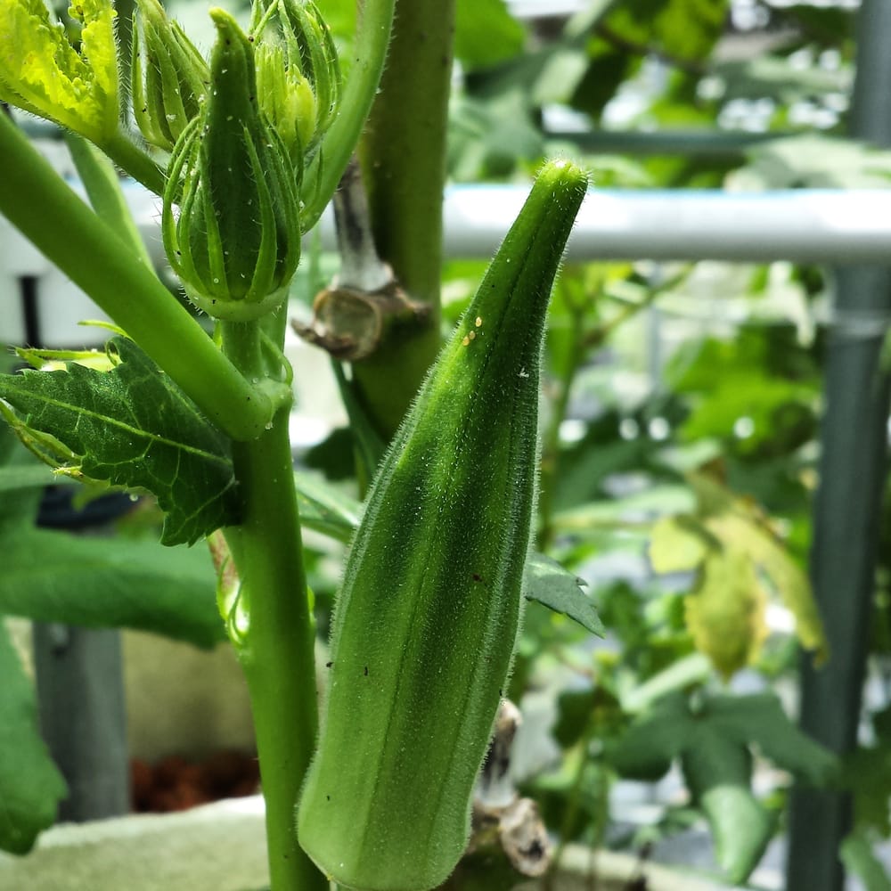 Lighthouse Ministries - social services organization in Lakeland, FL