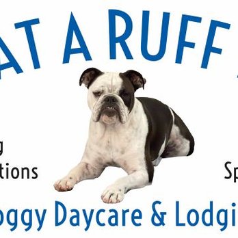 1. What a Ruff Life