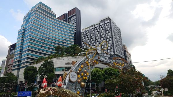 Orchard Rd by null