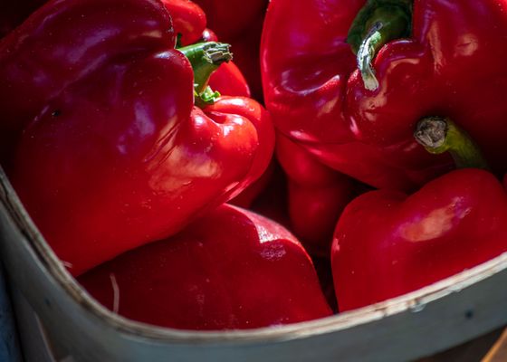 Gulfport Tuesday Fresh Market by null
