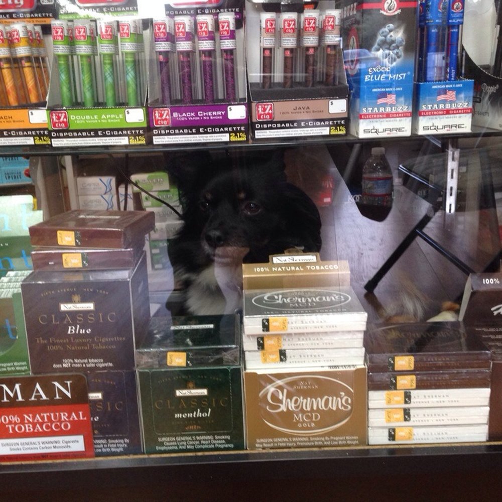 How much is that doggy in the window.? ;) How much is that doggy in the window.? ;)