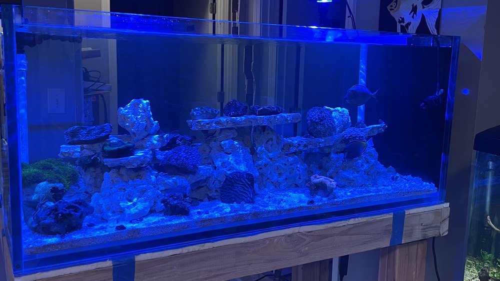 AQUARIUM BY FISH BARN CLOSED Updated April 2024 10 Photos 3952