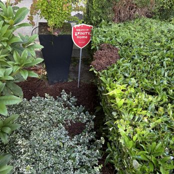 The Pink Guys - Lawn Services Near Me - Seattle, Washington