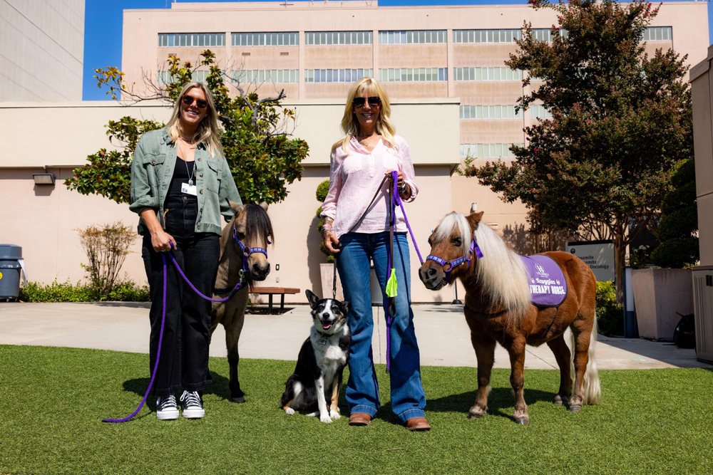 HILLENDALE HOME CARE Updated August 2024 14 Photos & 52 Reviews