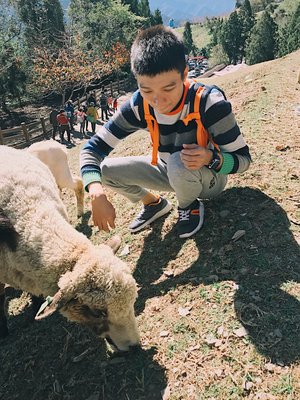 Qingjing Farm by null