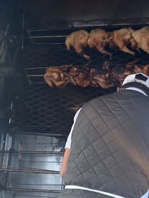 Little Chicken House by null