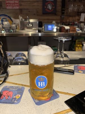 Cuckoo Clock Brauhaus Miami by null