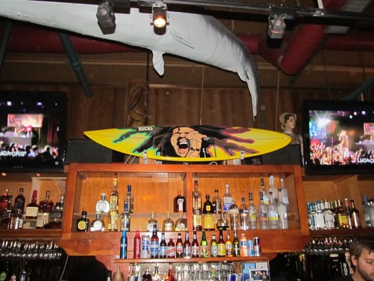 Belly Up Tavern by null