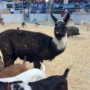 NRG Center - Petting zoo - Venues & Event Spaces Near Me - Houston, Texas NRG Center - Petting zoo - Venues & Event Spaces Near Me - Houston, Texas