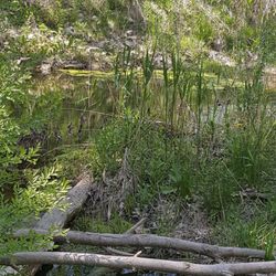 River Bluff Park
