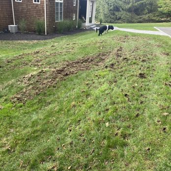 TruGreen Lawn Care - Tree Services Near Me - Danbury, Connecticut TruGreen Lawn Care - Tree Services Near Me - Danbury, Connecticut