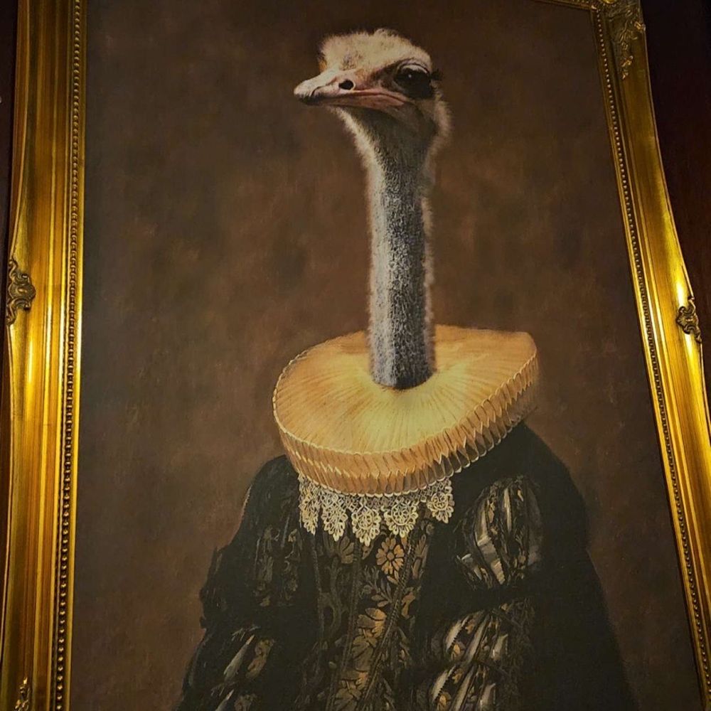 Fauna - a picture of an ostrich wearing a dress - New American Near Me - Westhampton Beach, New York