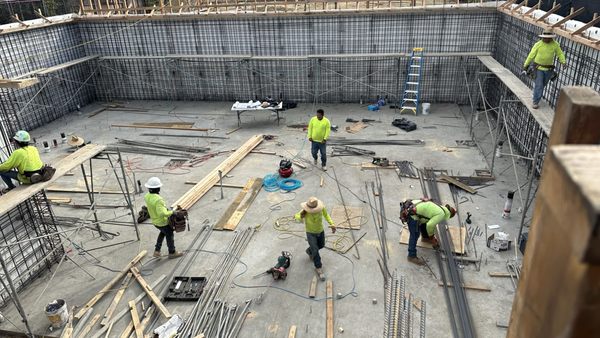 Waterproofing N Roofing Logo