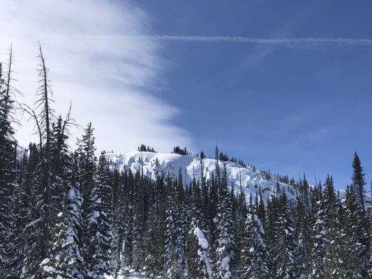 Steamboat Powdercats by null