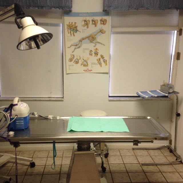 CRYSTAL SPRINGS VETERINARY CLINIC PA Updated May 2024 10 Photos