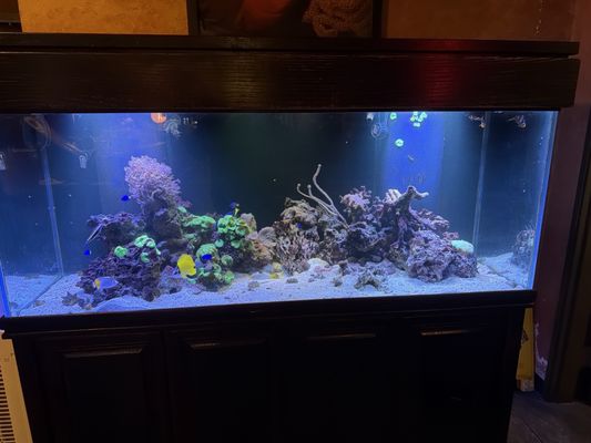 Sada Sushi & Izakaya by null