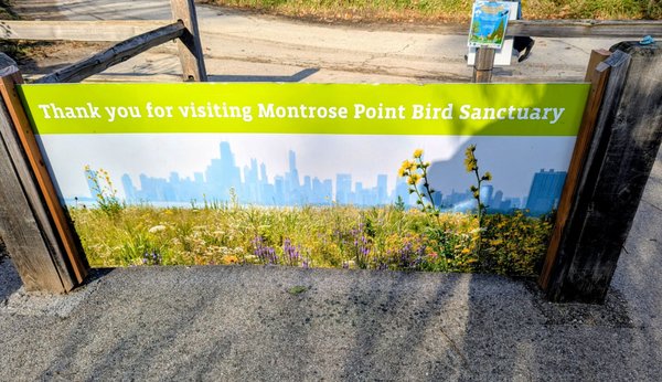 Montrose Point Bird Sanctuary by null