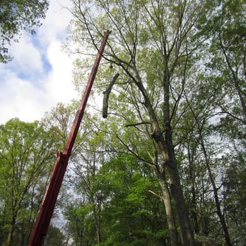 C&C Tree Service, LLC - Tree Services Near Me - Canton, Georgia