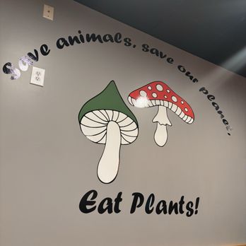 Alice & Friends' Vegan Kitchen - Eat plants! - Vegetarian Near Me - Chicago, Illinois Alice & Friends' Vegan Kitchen - Eat plants! - Vegetarian Near Me - Chicago, Illinois