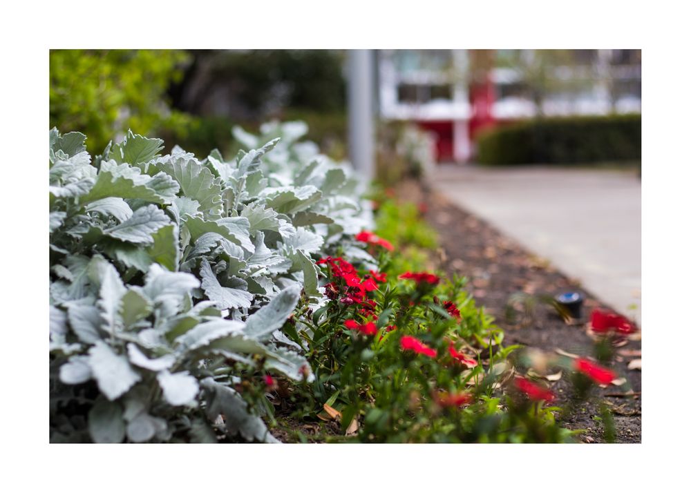 Cheyenne Landscapers - tree service in Cheyenne, WY