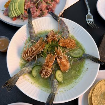 Holbox - Shrimp aguachiles - Latin American Near Me - Los Angeles, California Holbox - Shrimp aguachiles - Latin American Near Me - Los Angeles, California