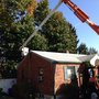 Photo of Sky's The Limit Tree Services