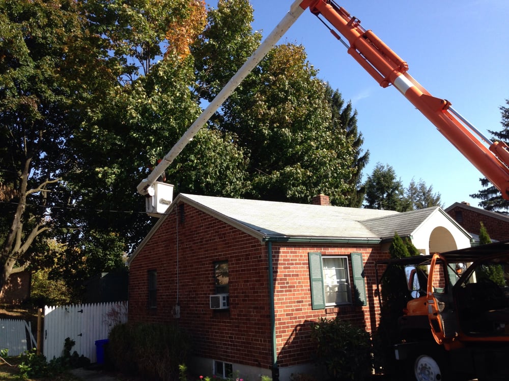 Sky's The Limit Tree Services - tree service in New Cumberland, PA