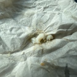 McDonald's - Some cartilage or something
