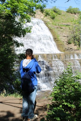 Albion Falls by null