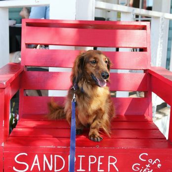 Sandpiper  - Cafes Near Me - Dunedin, Florida